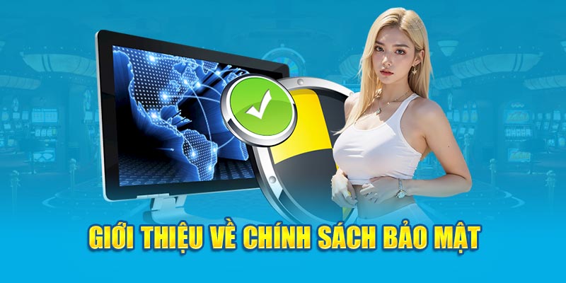 Tổng quan thông tin chung cần nắm được về Chính Sách Bảo Mật